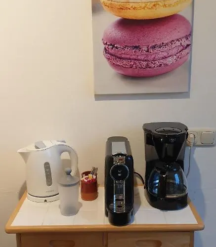 Prachtige Vakantiewoning 'la Bienvenue' In Venlo, Limburg *